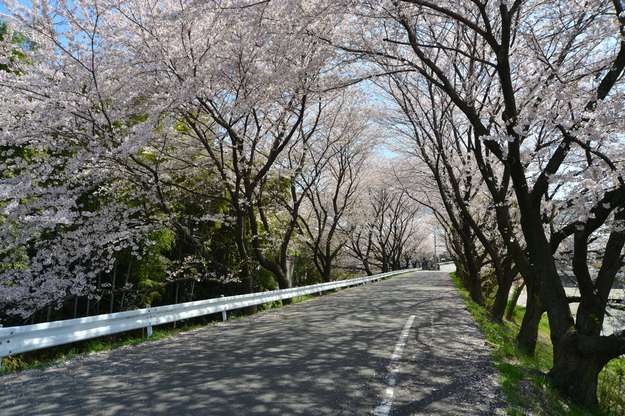 東山霊園