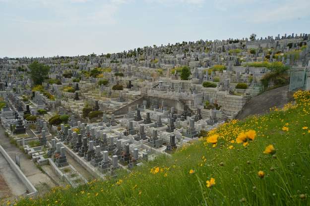 八事林泉寺墓地