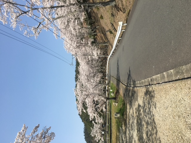 鳩吹苑